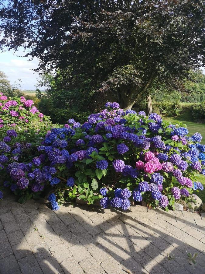 Hvirrekaergaard, Midt I Naturen. Hirtshals Zewnętrze zdjęcie
